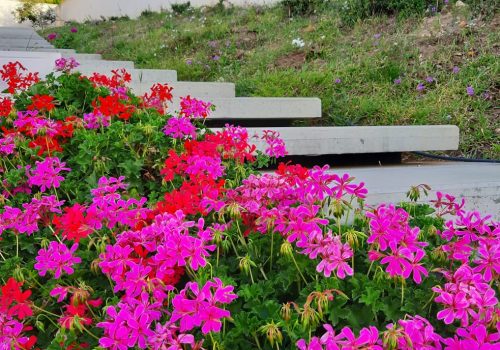 3e75e04f-f66d-4015-b723-95a59ec624e3